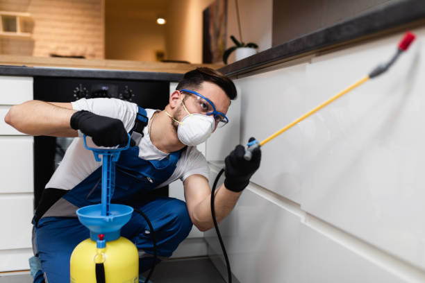 Best Emergency Pest Control  in Wakeman, OH