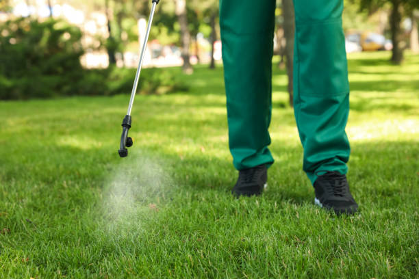 Trusted Wakeman, OH Pest Control Experts