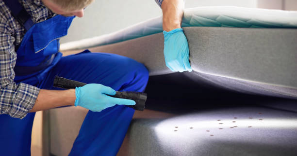 Best Bed Bug Extermination  in Wakeman, OH